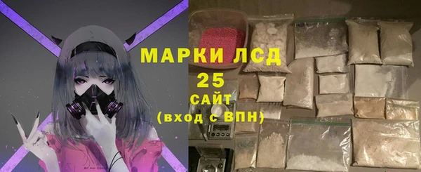 прущие грибы Алзамай