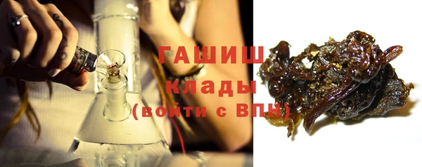 прущие грибы Алзамай