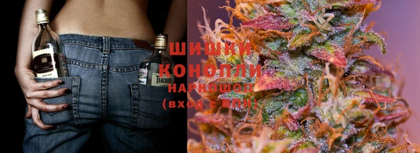 прущие грибы Алзамай