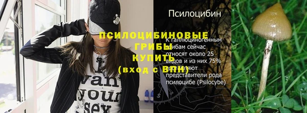 прущие грибы Алзамай