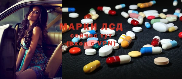 прущие грибы Алзамай