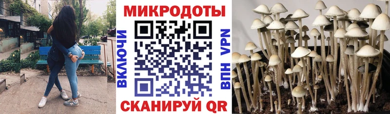 Псилоцибиновые грибы Psilocybe  ОМГ ОМГ рабочий сайт  Анжеро-Судженск 